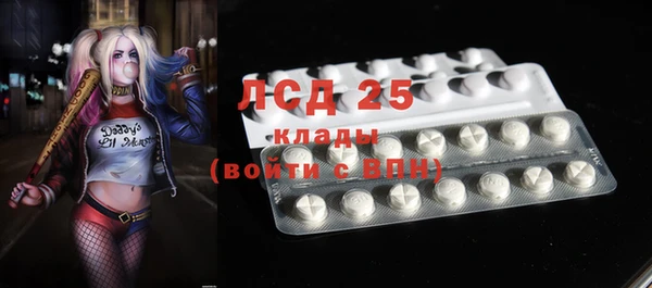 спайс Няндома