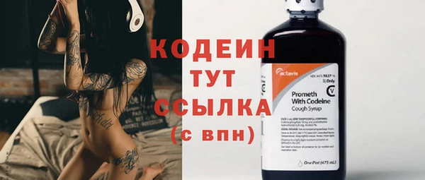 спайс Няндома