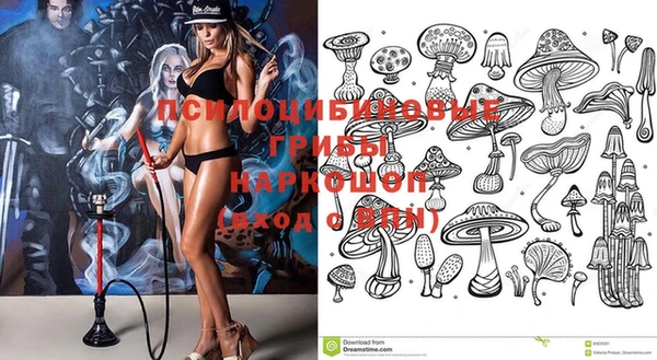 спайс Няндома